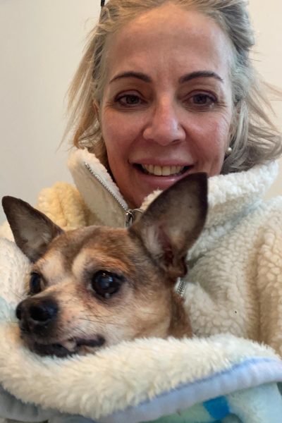 pet sitting cape cod